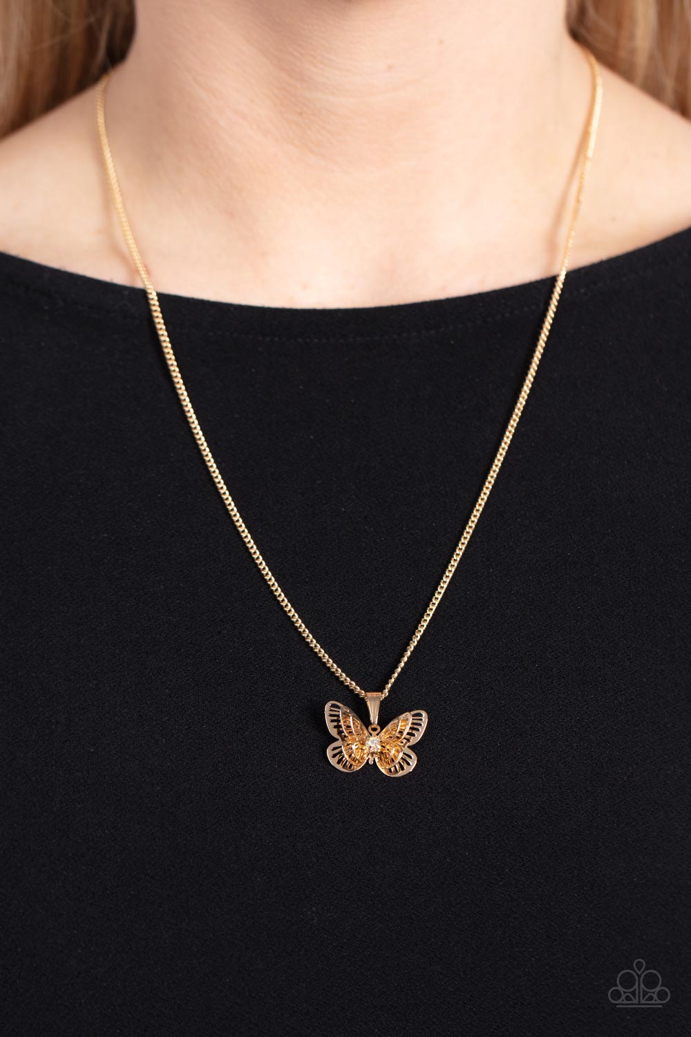 Paparazzi - High-Flying Fashion - Multi Necklace